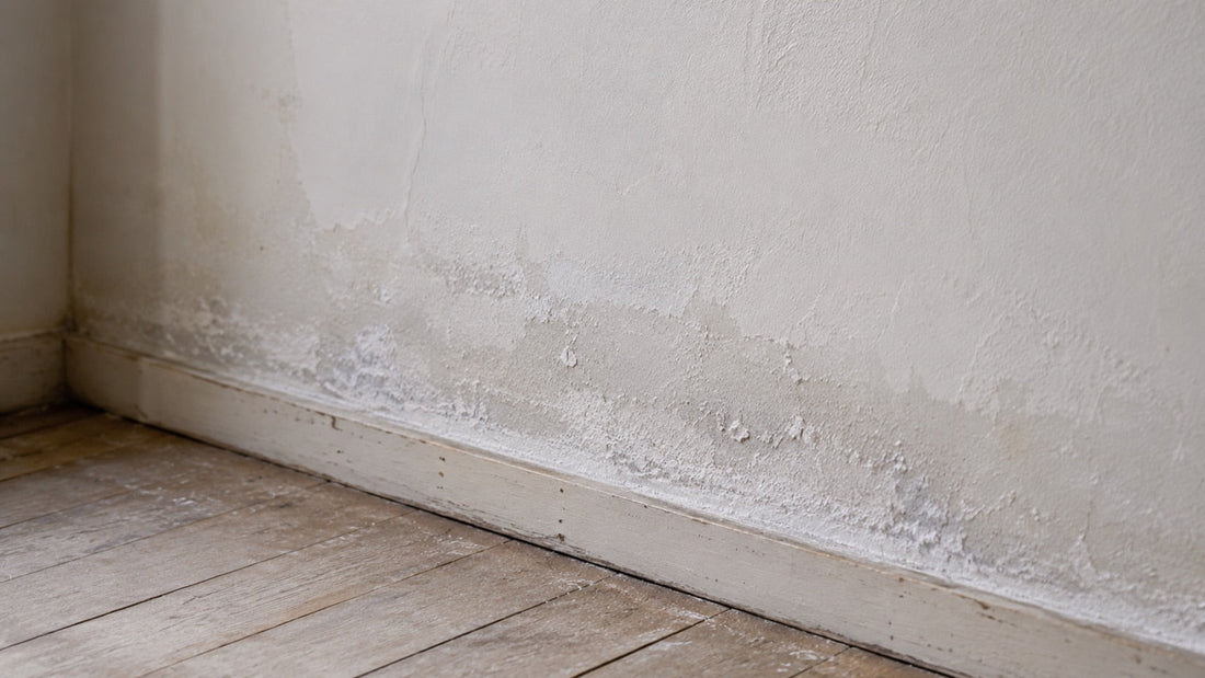 Bas de mur intérieur marqué par l'humidité et le salpêtre