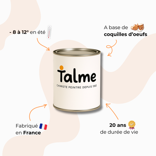 Peinture spécialisée anti-odeur - Talme